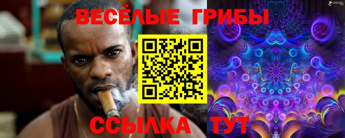 Галлюциногенные грибы Magic Shrooms  Вход с VPN  Клин 
